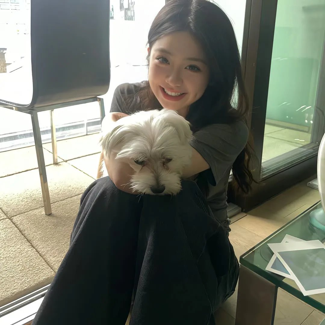 破晓之翼